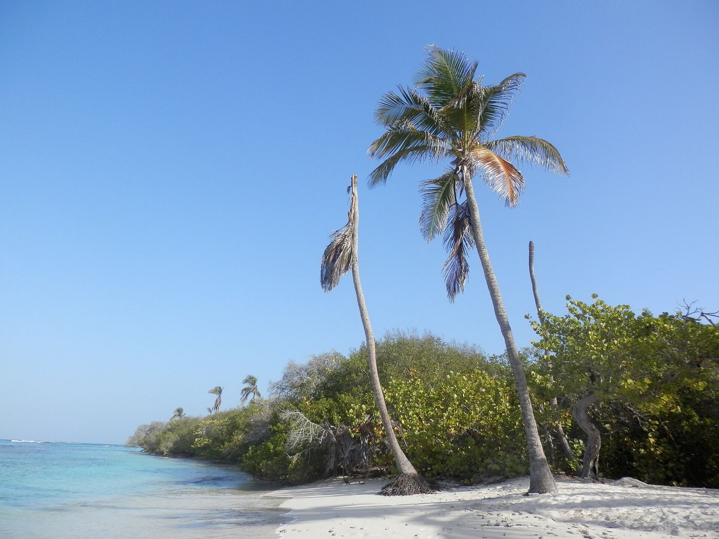 Cayo Sombrero, Morrocoy